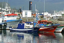 Sector Pesquero
